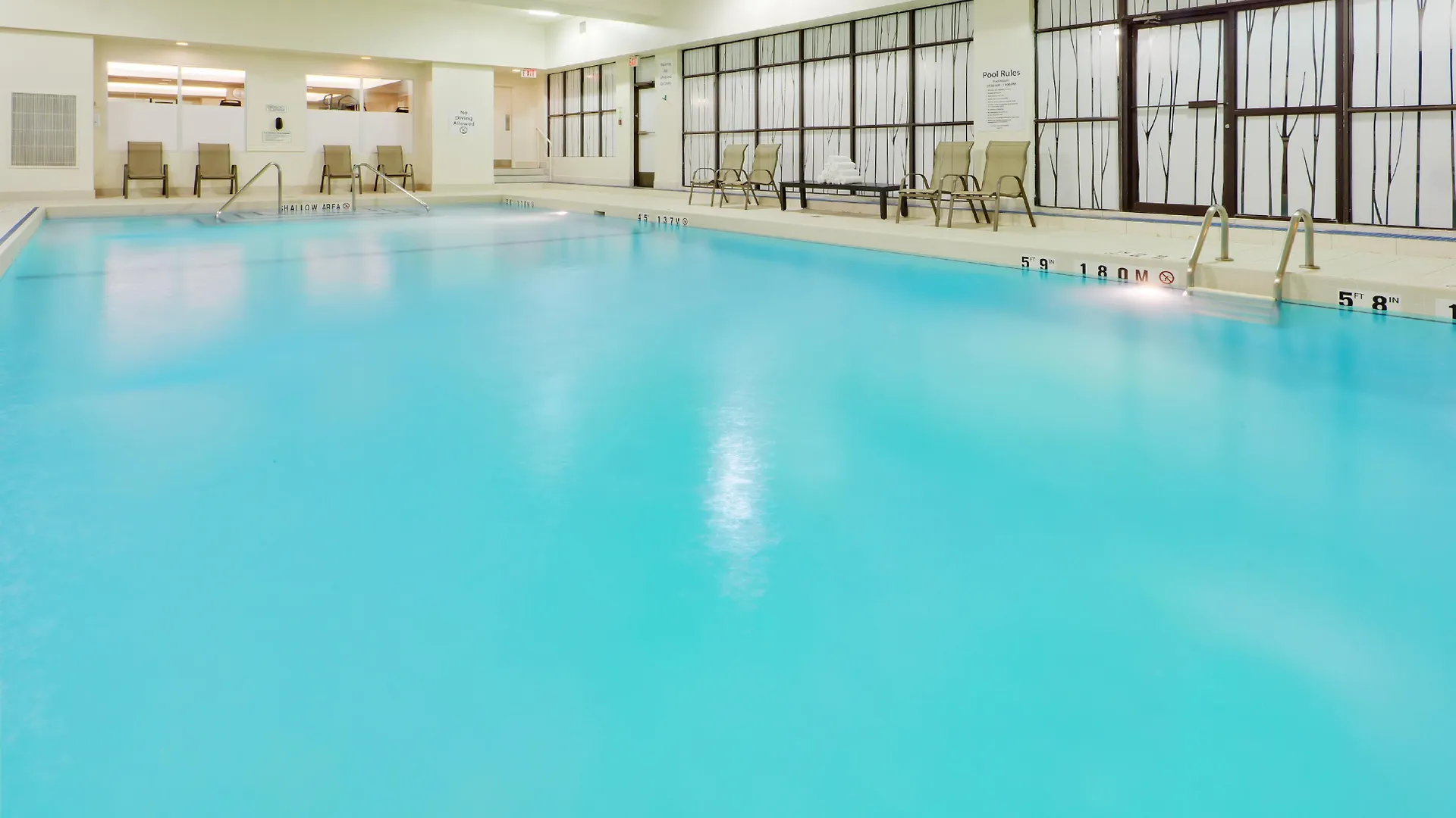 **** Hotel Holiday Inn Toronto Downtown Centre By Ihg Canada